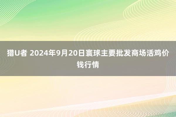 猎U者 2024年9月20日寰球主要批发商场活鸡价钱行情