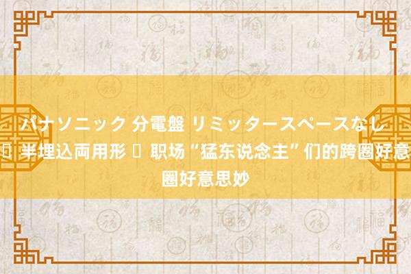 パナソニック 分電盤 リミッタースペースなし 露出・半埋込両用形 ​职场“猛东说念主”们的跨圈好意思妙