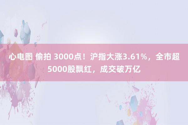 心电图 偷拍 3000点！沪指大涨3.61%，全市超5000股飘红，成交破万亿