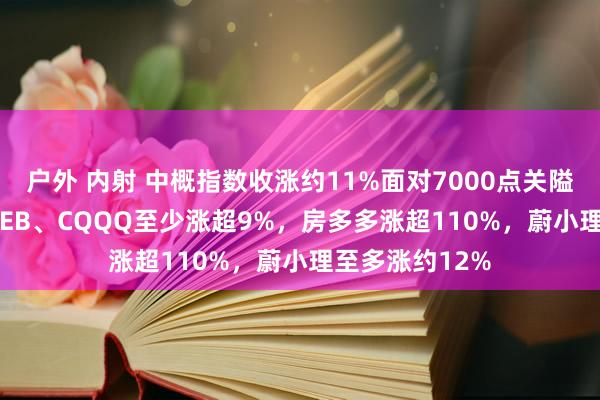 户外 内射 中概指数收涨约11%面对7000点关隘，YINN、KWEB、CQQQ至少涨超9%，房多多涨超110%，蔚小理至多涨约12%