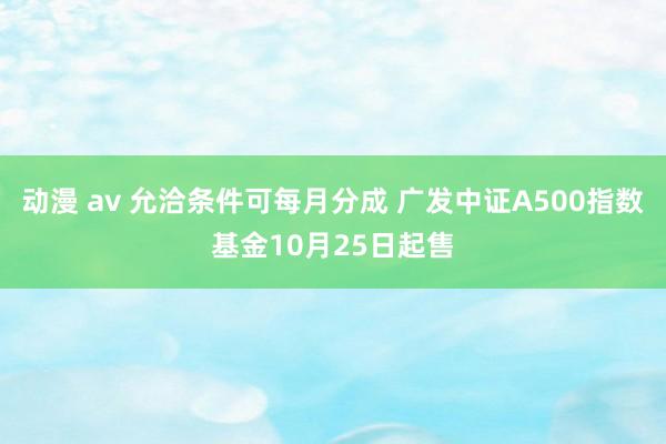 动漫 av 允洽条件可每月分成 广发中证A500指数基金10月25日起售