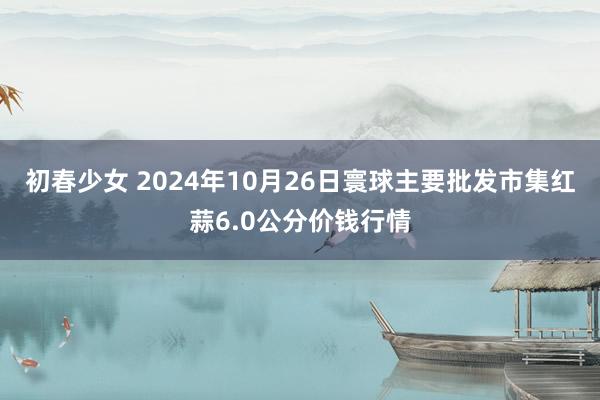 初春少女 2024年10月26日寰球主要批发市集红蒜6.0公分价钱行情