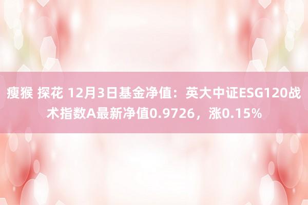 瘦猴 探花 12月3日基金净值：英大中证ESG120战术指数A最新净值0.9726，涨0.15%