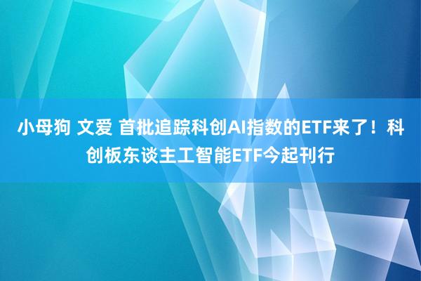 小母狗 文爱 首批追踪科创AI指数的ETF来了！科创板东谈主工智能ETF今起刊行